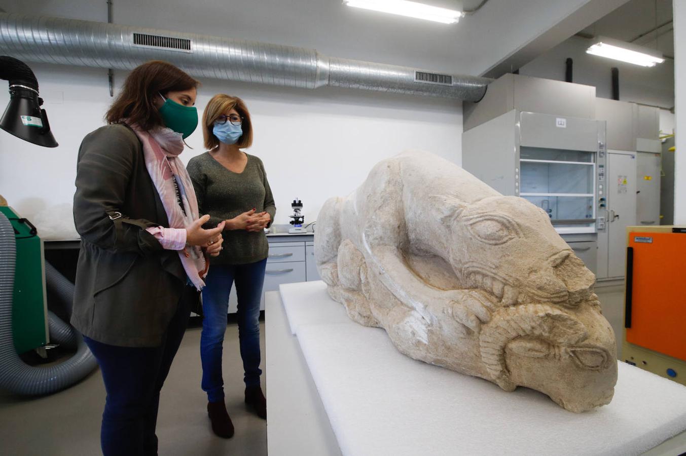 Las leonas iberas de Córdoba, en imágenes