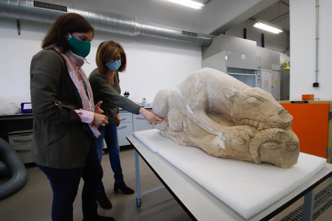 Las leonas iberas de Córdoba, en imágenes