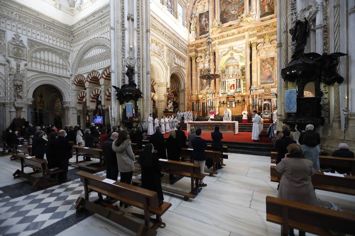 La ordenación de diáconos en Córdoba, en imágenes