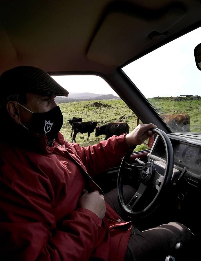 Fotogalería: La pandemia también se lleva por delante el turismo taurino