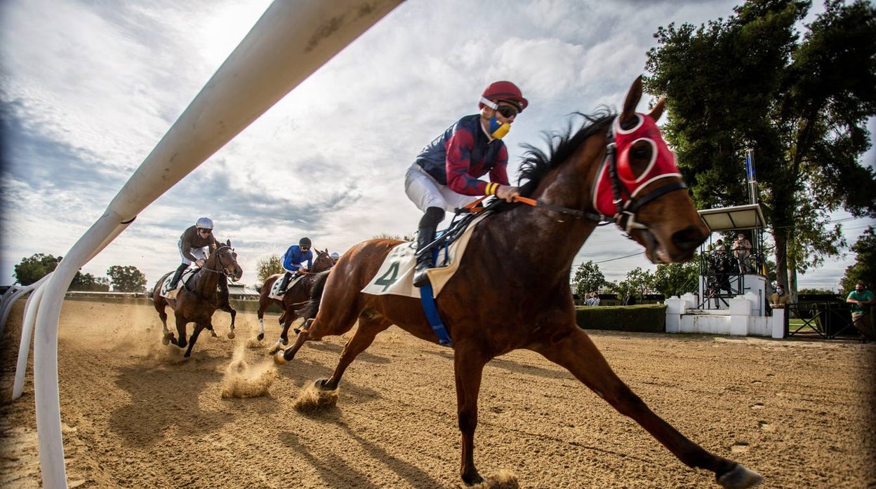 Fotogalería: Vuelven las carreras de caballos al Real Club Pineda