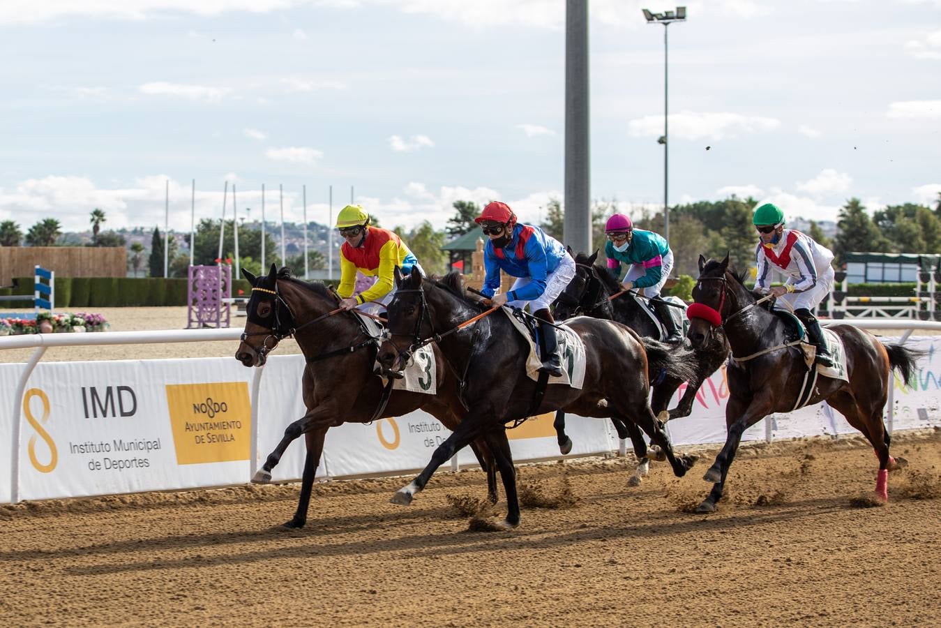 Fotogalería: Vuelven las carreras de caballos al Real Club Pineda