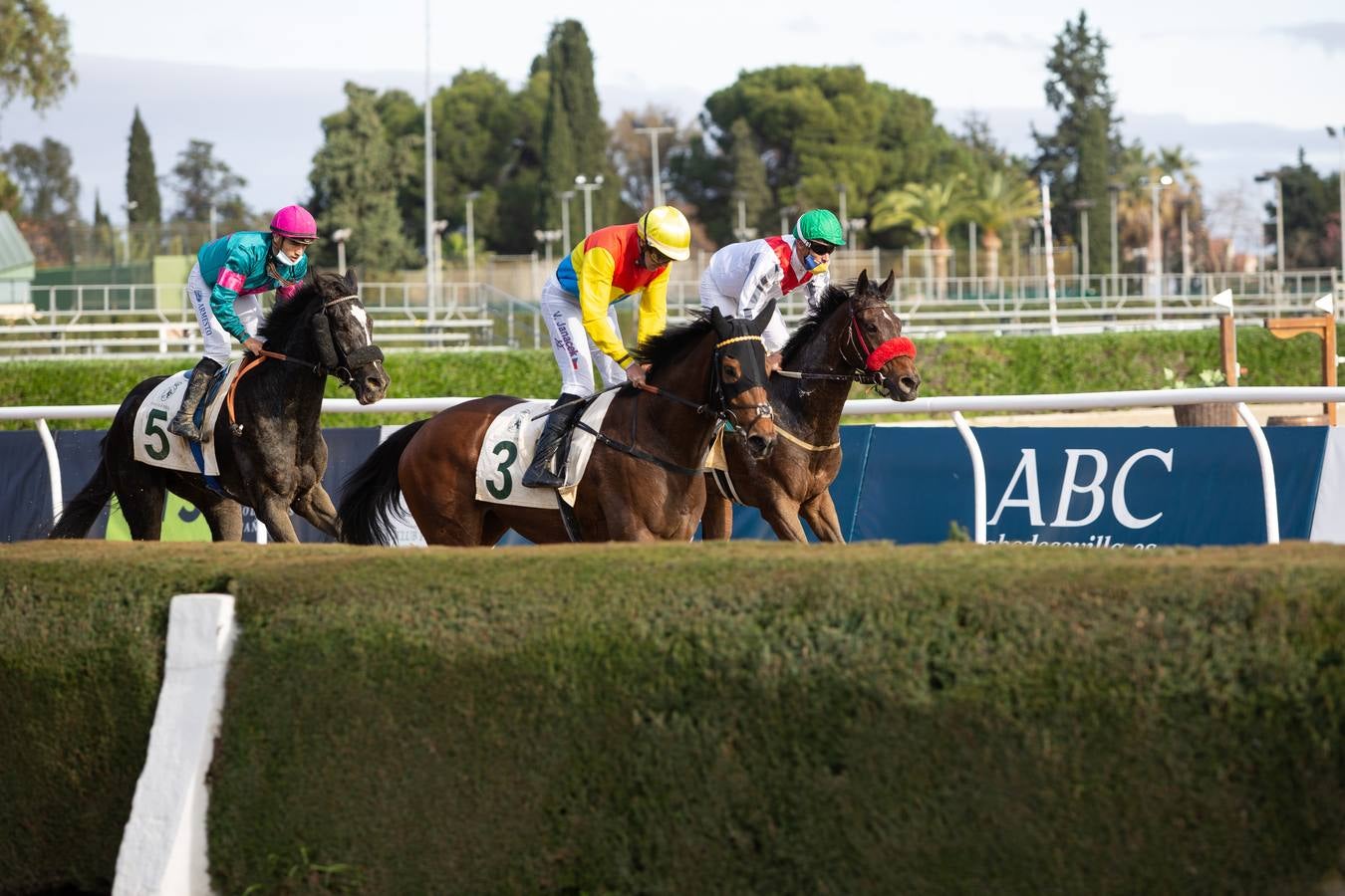 Fotogalería: Vuelven las carreras de caballos al Real Club Pineda