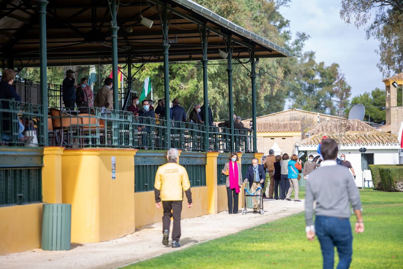 Fotogalería: Vuelven las carreras de caballos al Real Club Pineda