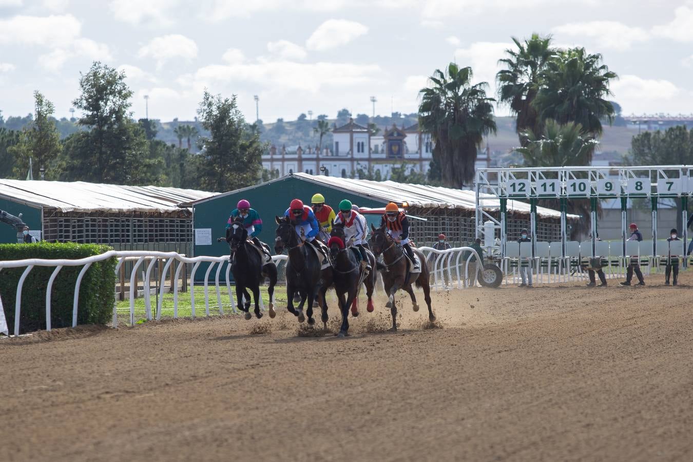 Fotogalería: Vuelven las carreras de caballos al Real Club Pineda