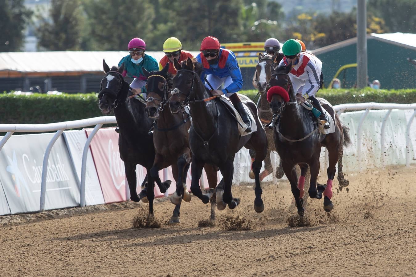 Fotogalería: Vuelven las carreras de caballos al Real Club Pineda