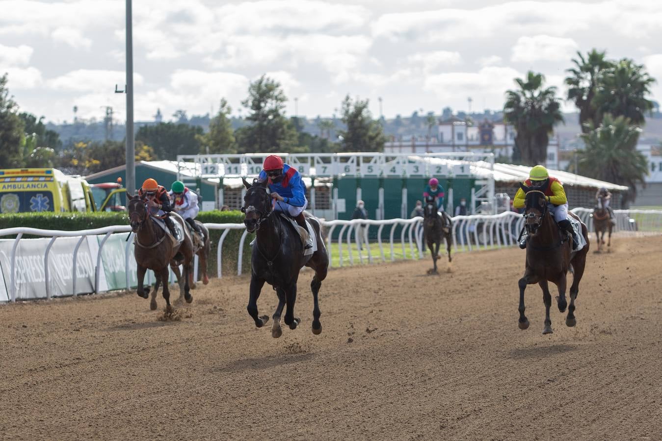 Fotogalería: Vuelven las carreras de caballos al Real Club Pineda