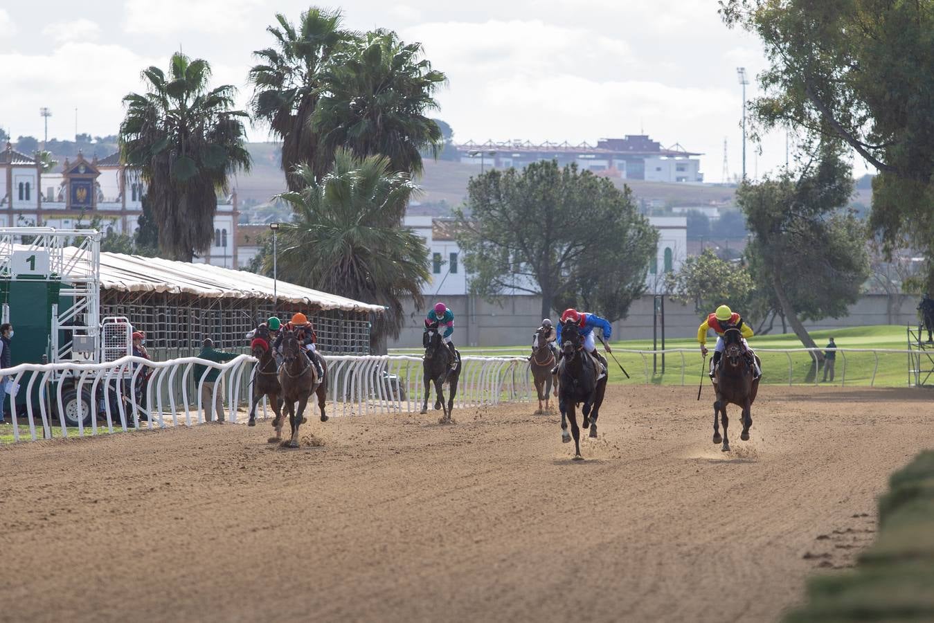 Fotogalería: Vuelven las carreras de caballos al Real Club Pineda