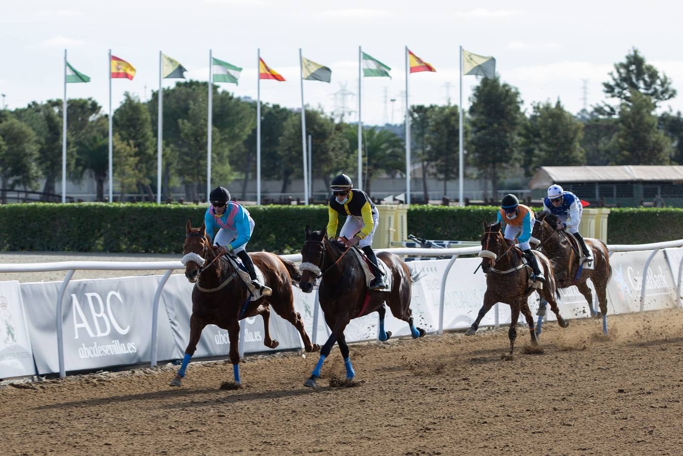 Fotogalería: Vuelven las carreras de caballos al Real Club Pineda