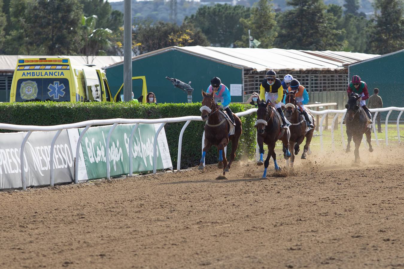 Fotogalería: Vuelven las carreras de caballos al Real Club Pineda