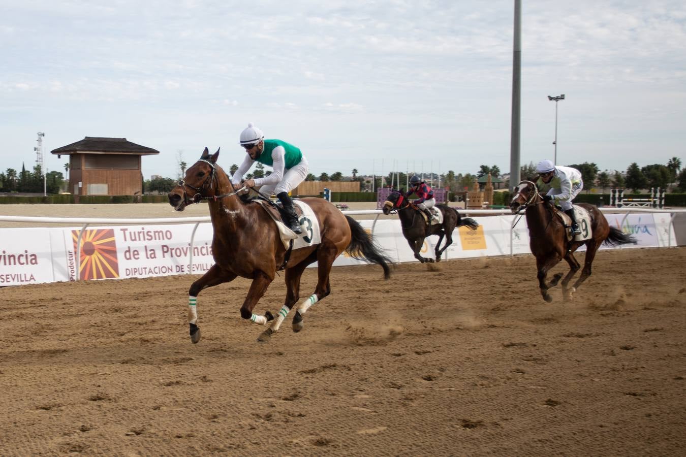 Fotogalería: Vuelven las carreras de caballos al Real Club Pineda