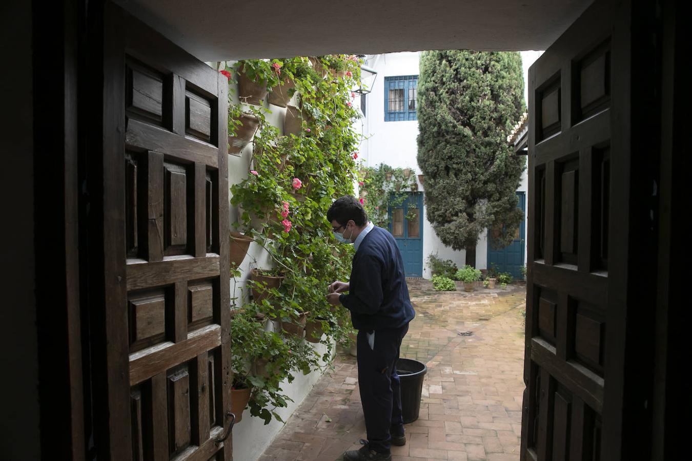 Las visitas gratuitas al Palacio de Viana de Córdoba, en imágenes