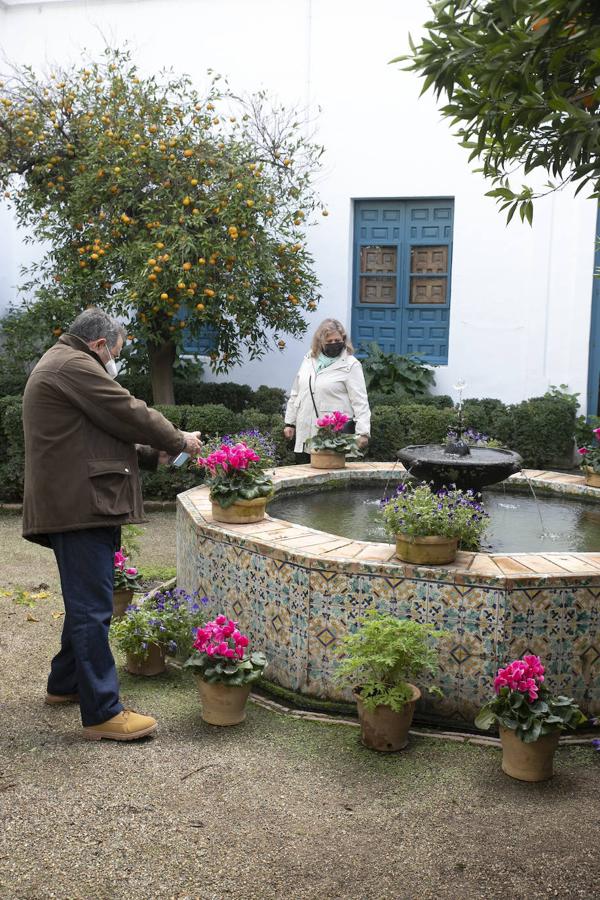 Las visitas gratuitas al Palacio de Viana de Córdoba, en imágenes