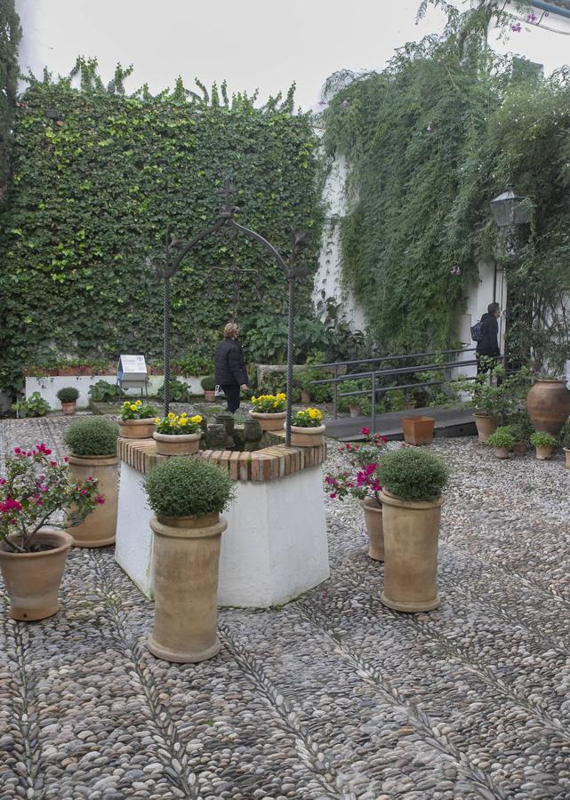 Las visitas gratuitas al Palacio de Viana de Córdoba, en imágenes