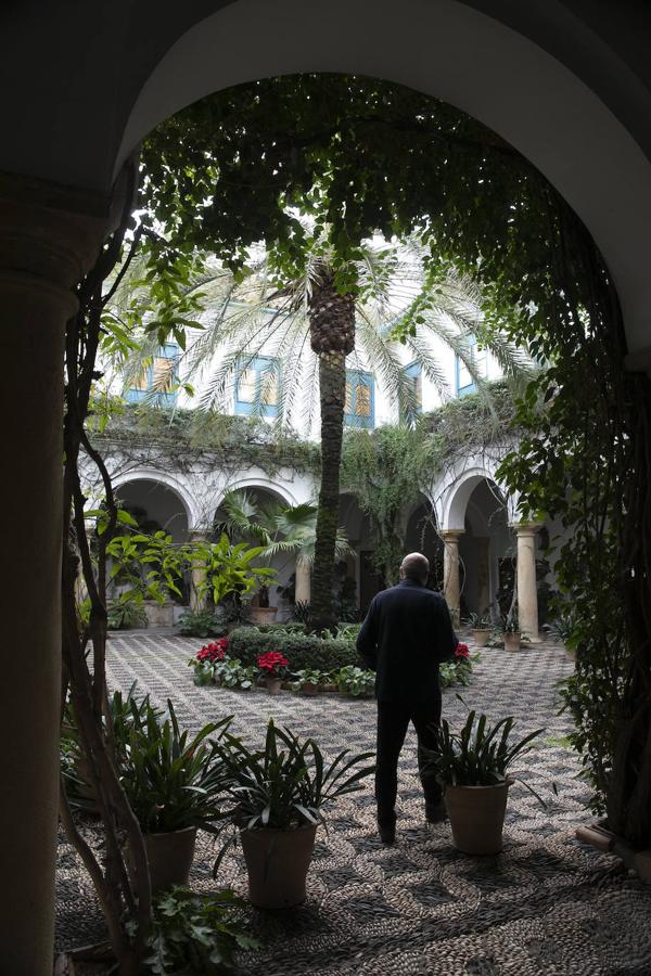 Las visitas gratuitas al Palacio de Viana de Córdoba, en imágenes