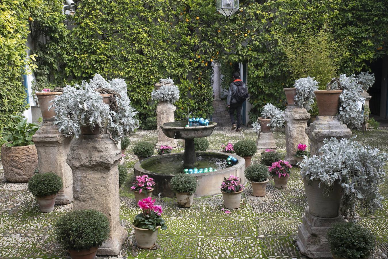 Las visitas gratuitas al Palacio de Viana de Córdoba, en imágenes