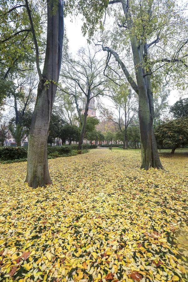 Estampas de otoño en Sevilla