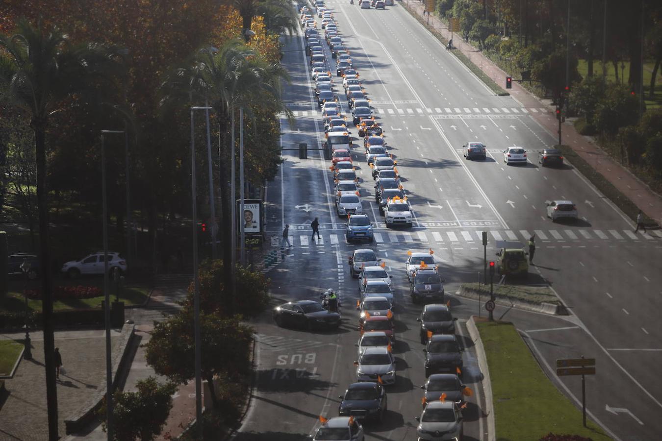 La manifestación contra la Ley Celaá en Córdoba, en imágenes