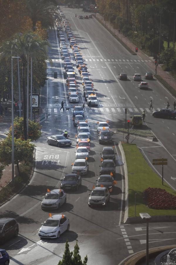 La manifestación contra la Ley Celaá en Córdoba, en imágenes