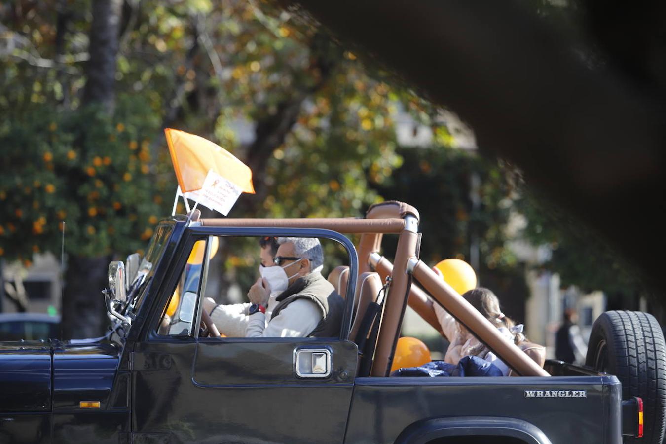 La manifestación contra la Ley Celaá en Córdoba, en imágenes