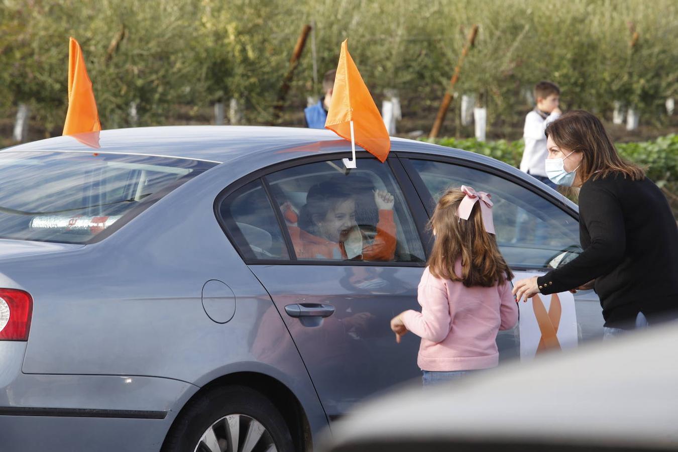 La manifestación contra la Ley Celaá en Córdoba, en imágenes