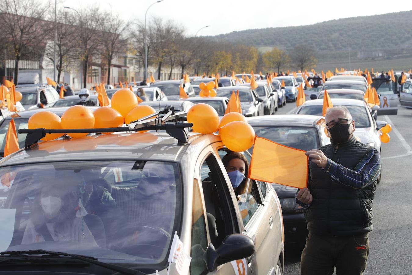 La manifestación contra la Ley Celaá en Córdoba, en imágenes