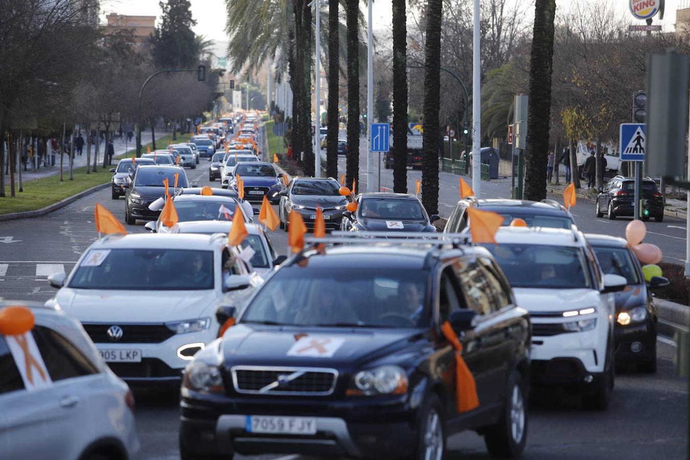 La manifestación contra la Ley Celaá en Córdoba, en imágenes