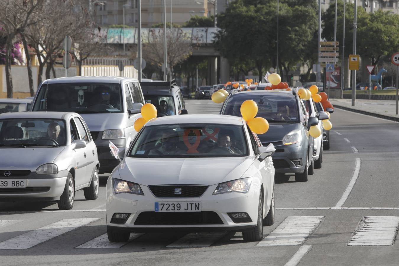 Caravana de coches contra la Ley Celaá en Jerez