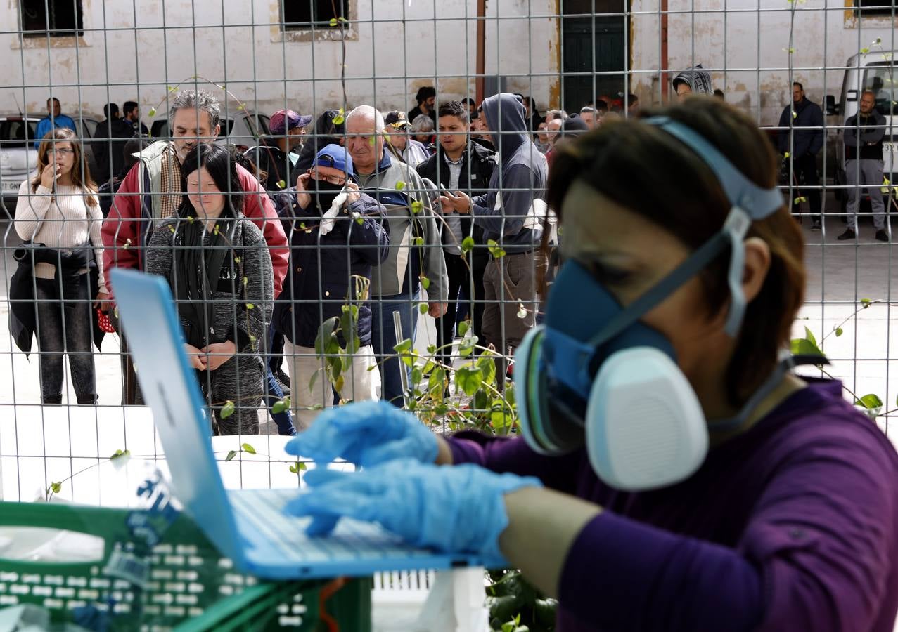 El año del coronavirus en Córdoba, en imágenes (I)