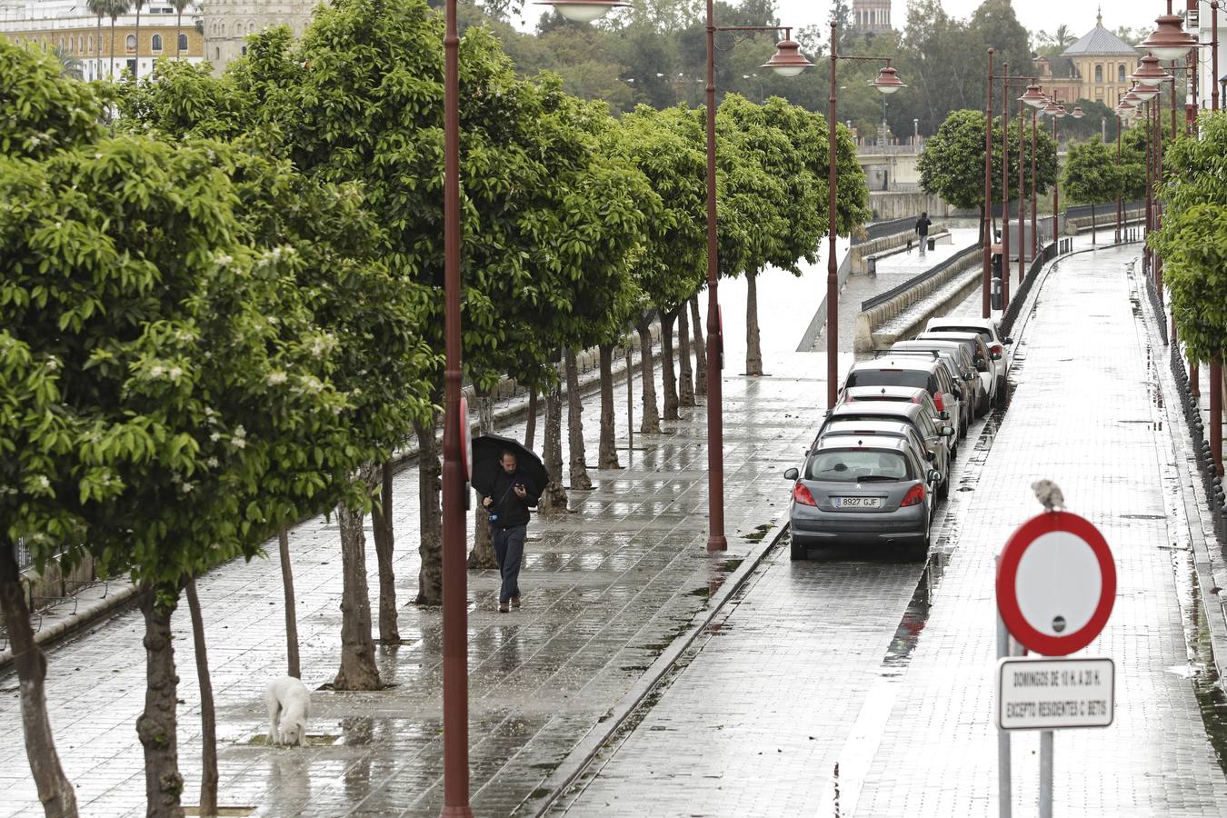 El año 2020 en imágenes: primeros días del estado de alarma en Sevilla