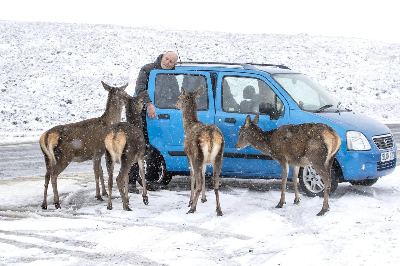 El temporal de nieve también ha llegado a Escocia. 