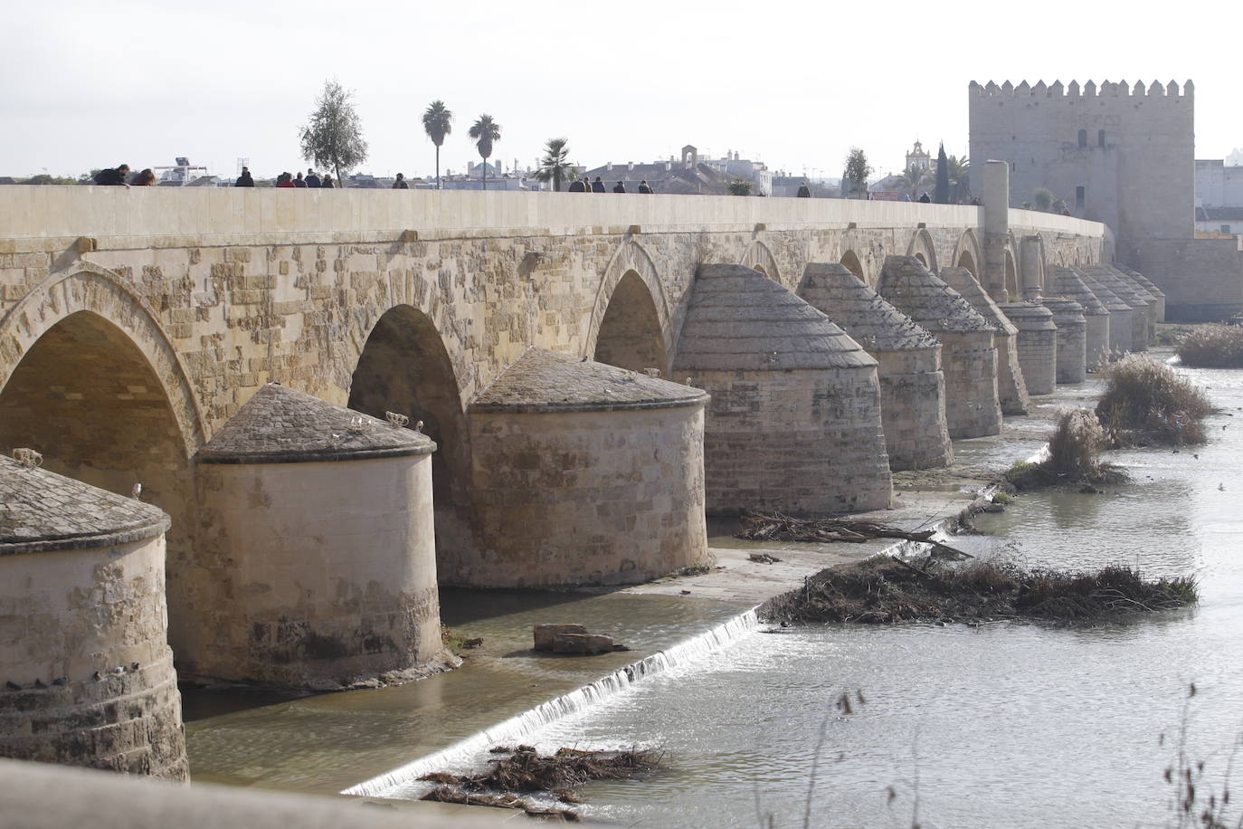 La situación del Puente Romano de Córdoba, en imágenes