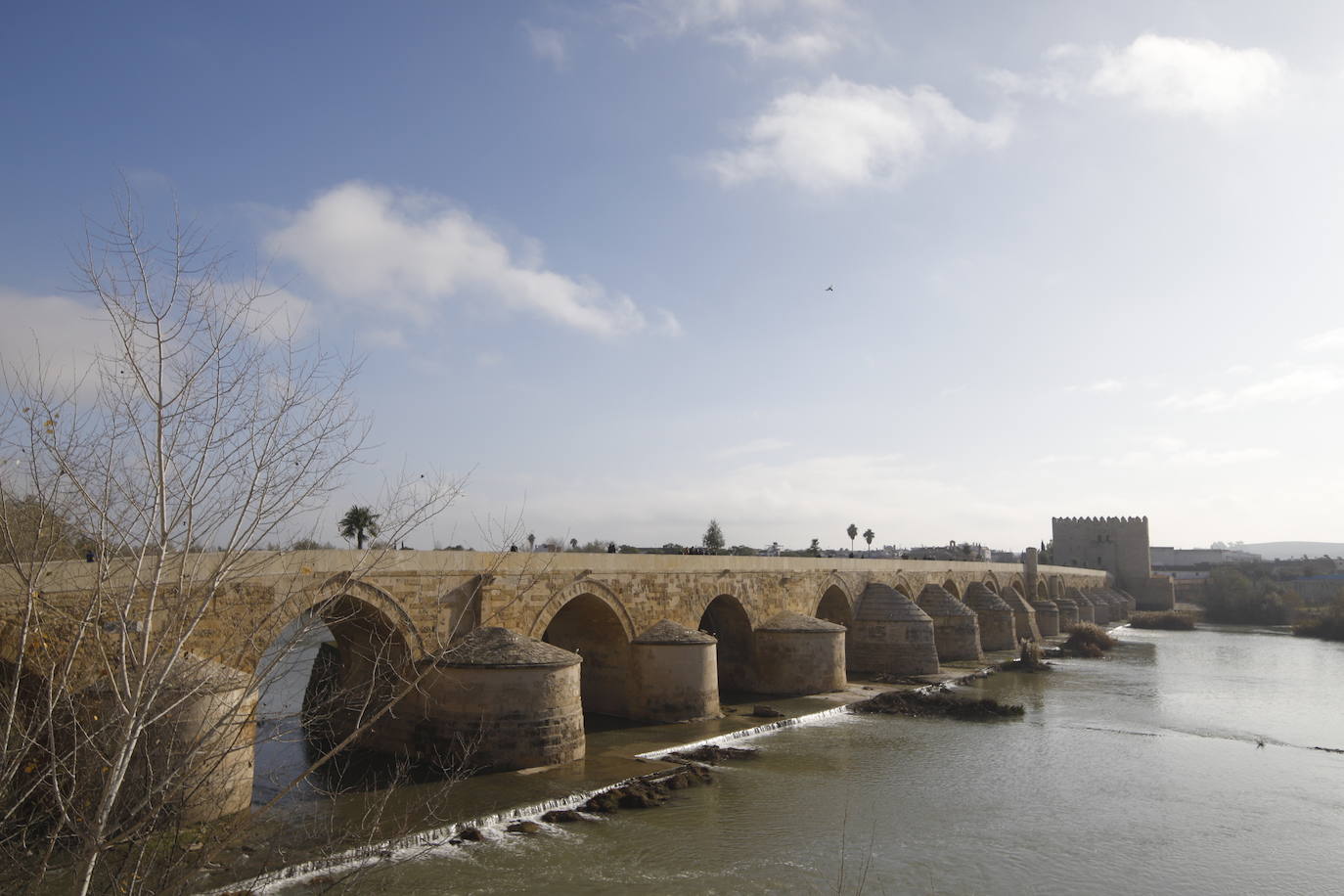 La situación del Puente Romano de Córdoba, en imágenes