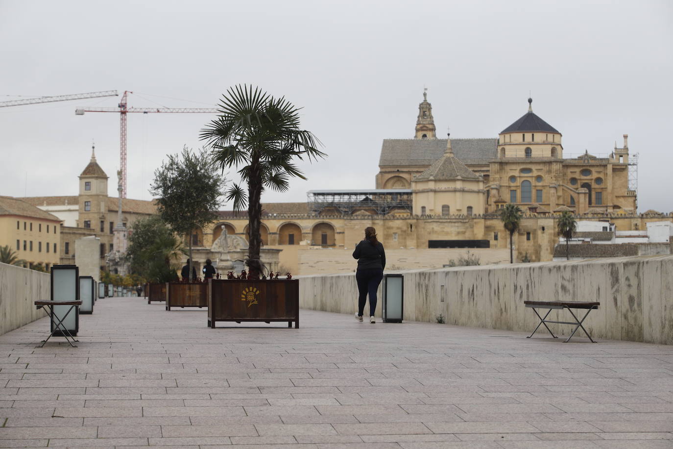 La situación del Puente Romano de Córdoba, en imágenes