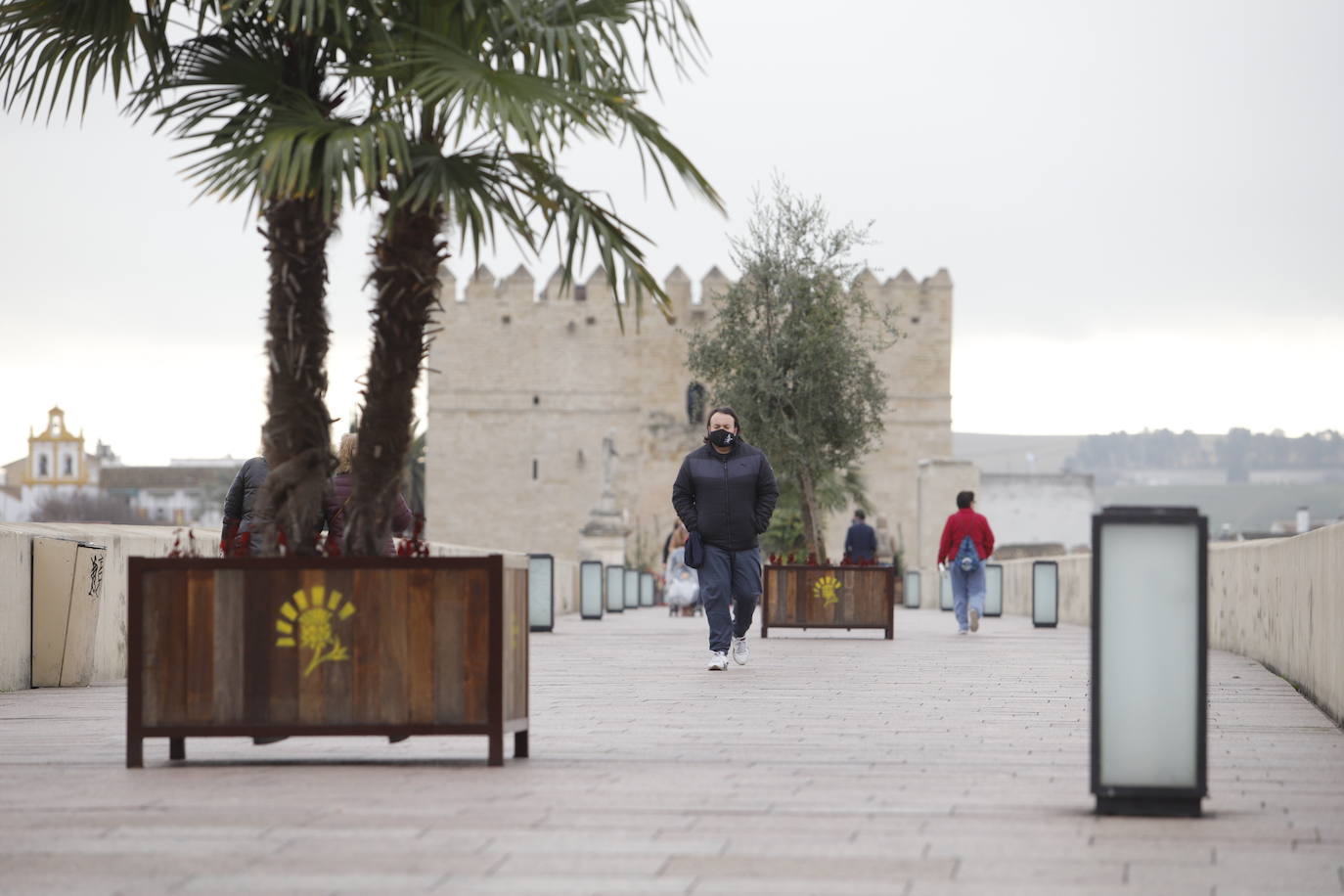 La situación del Puente Romano de Córdoba, en imágenes