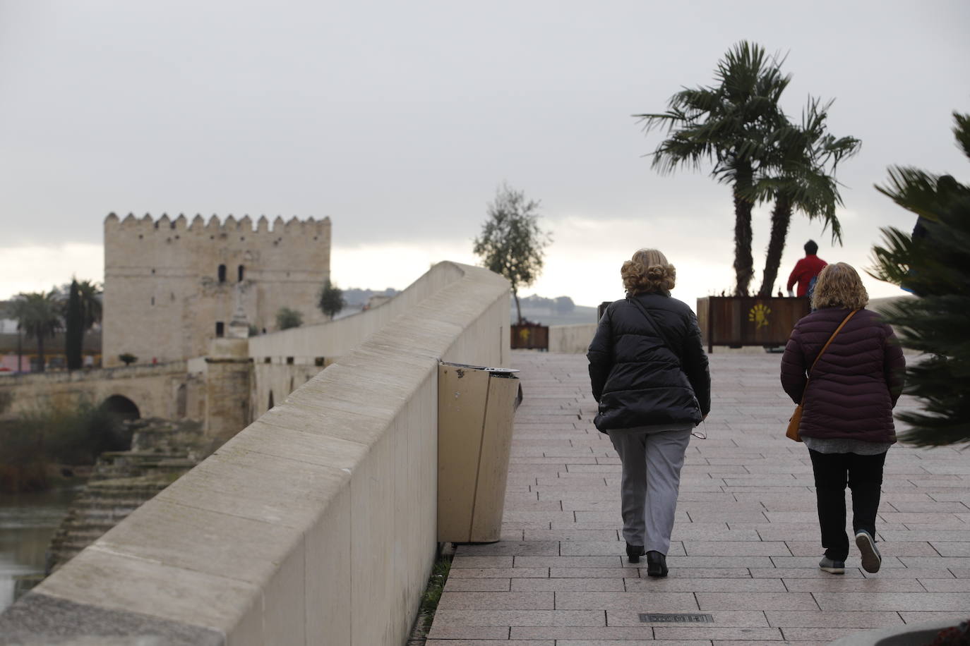 La situación del Puente Romano de Córdoba, en imágenes