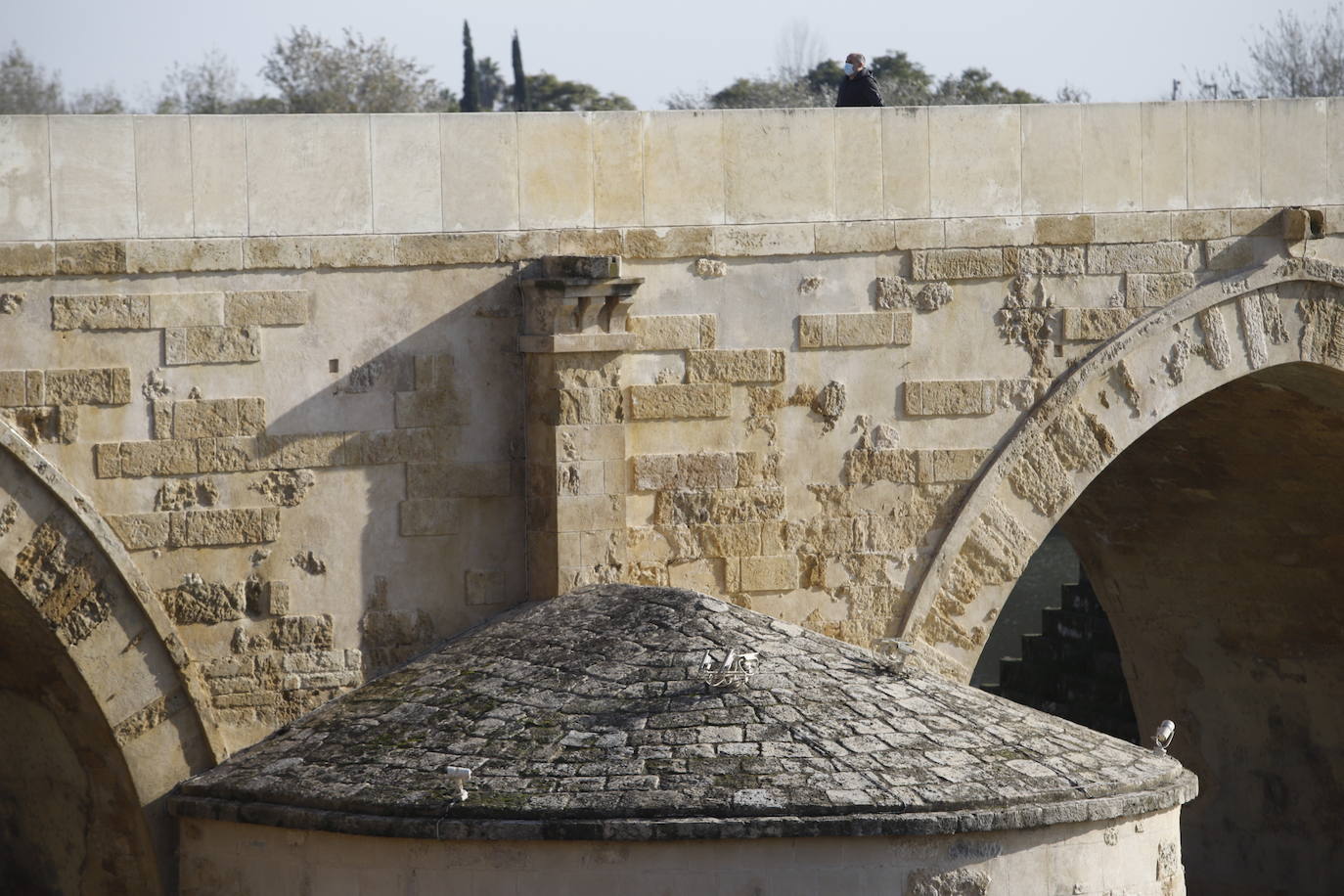 La situación del Puente Romano de Córdoba, en imágenes