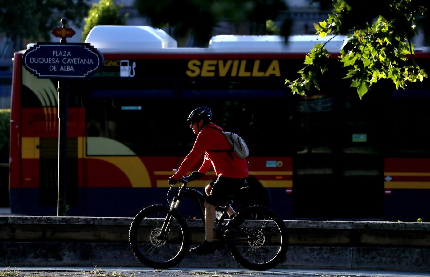 Levantamiento de restricciones durante el confinamiento en el primer estado de alarma en Sevilla