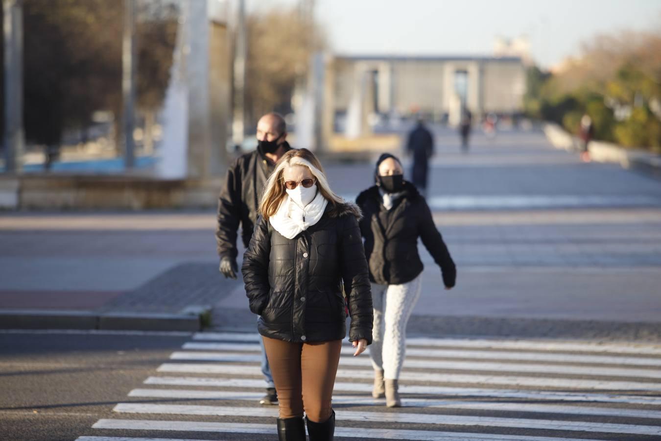 El frío invernal en las calles de Córdoba, en imágenes