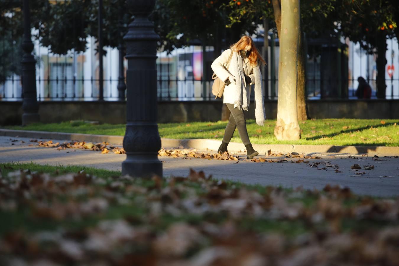 El frío invernal en las calles de Córdoba, en imágenes