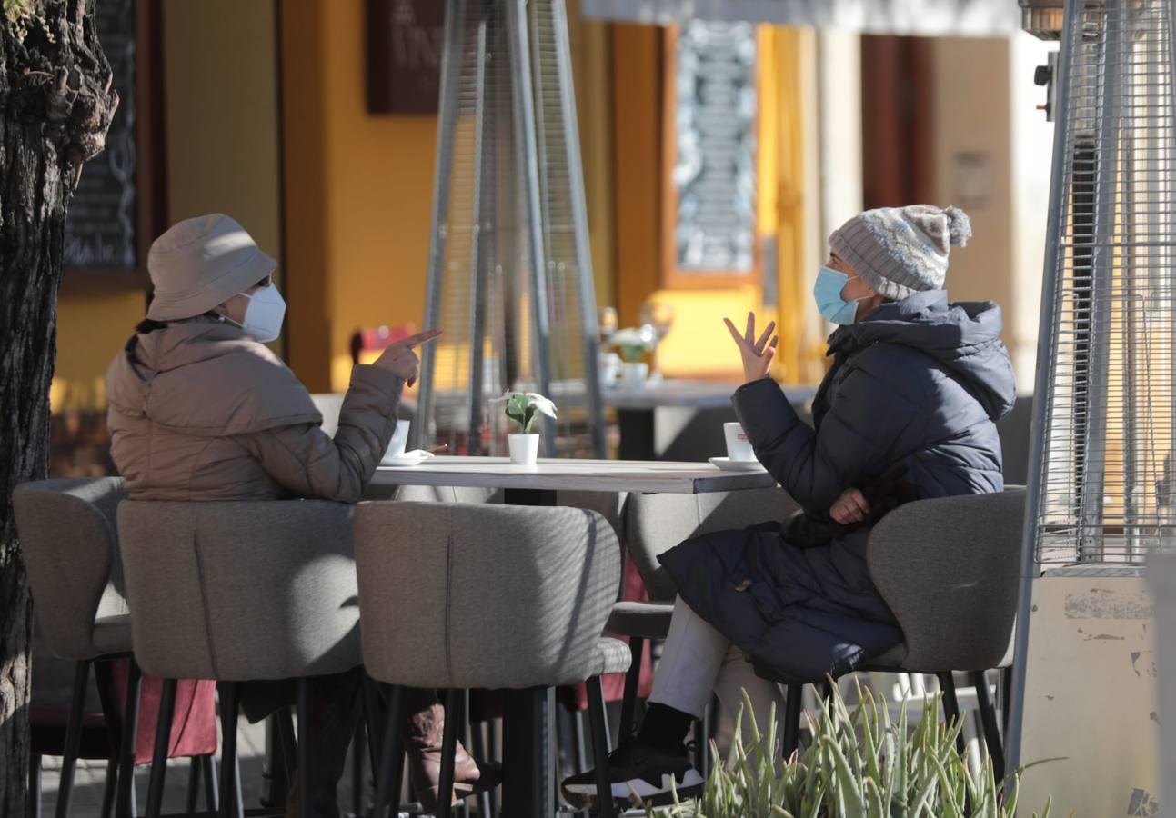 En imágenes, primer fin de semana del año con temperaturas bajo cero en Sevilla