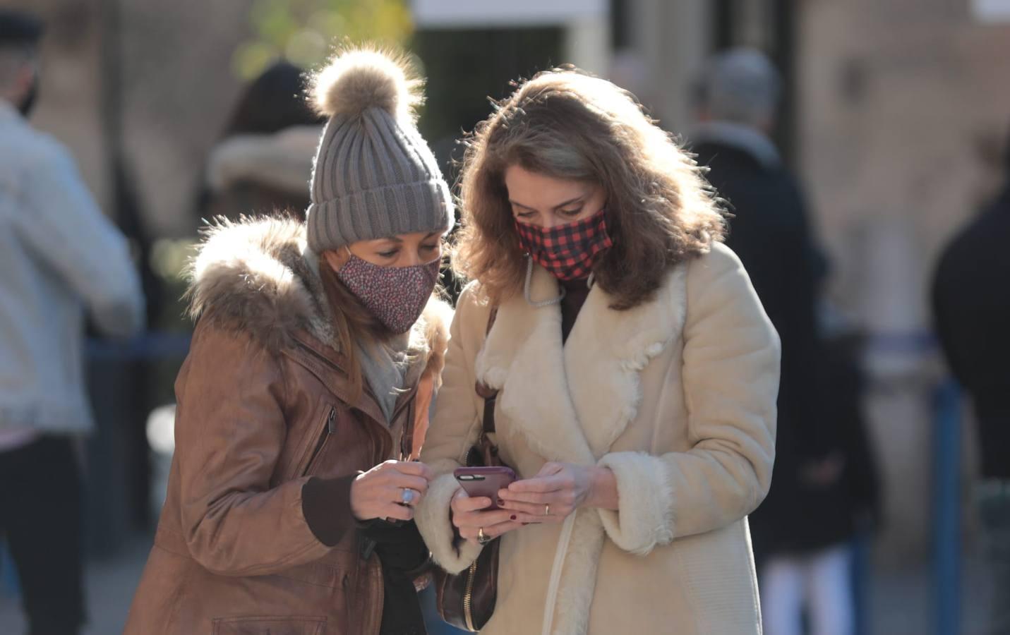 En imágenes, primer fin de semana del año con temperaturas bajo cero en Sevilla