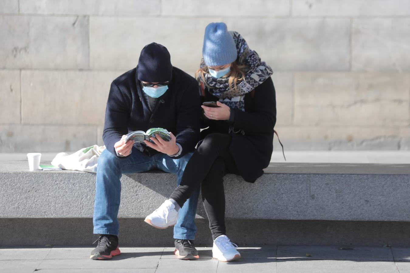 En imágenes, primer fin de semana del año con temperaturas bajo cero en Sevilla