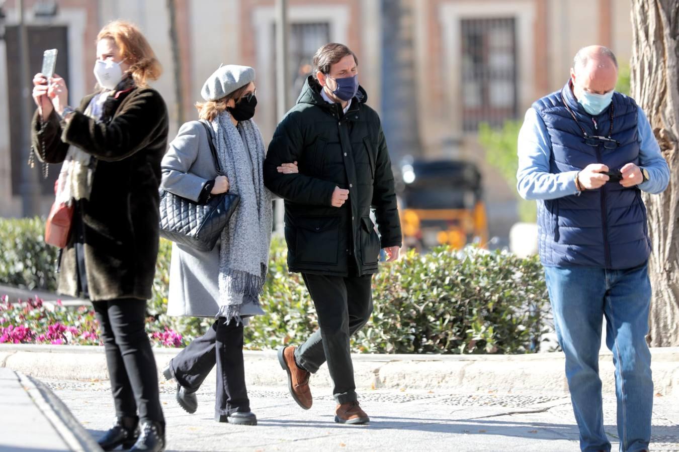 En imágenes, primer fin de semana del año con temperaturas bajo cero en Sevilla