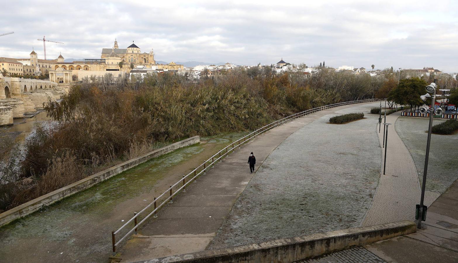 La mañana de frío en Córdoba, en imágenes