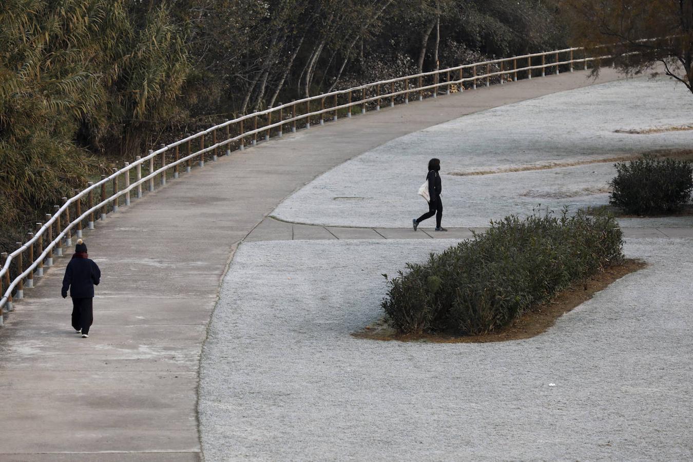 La mañana de frío en Córdoba, en imágenes