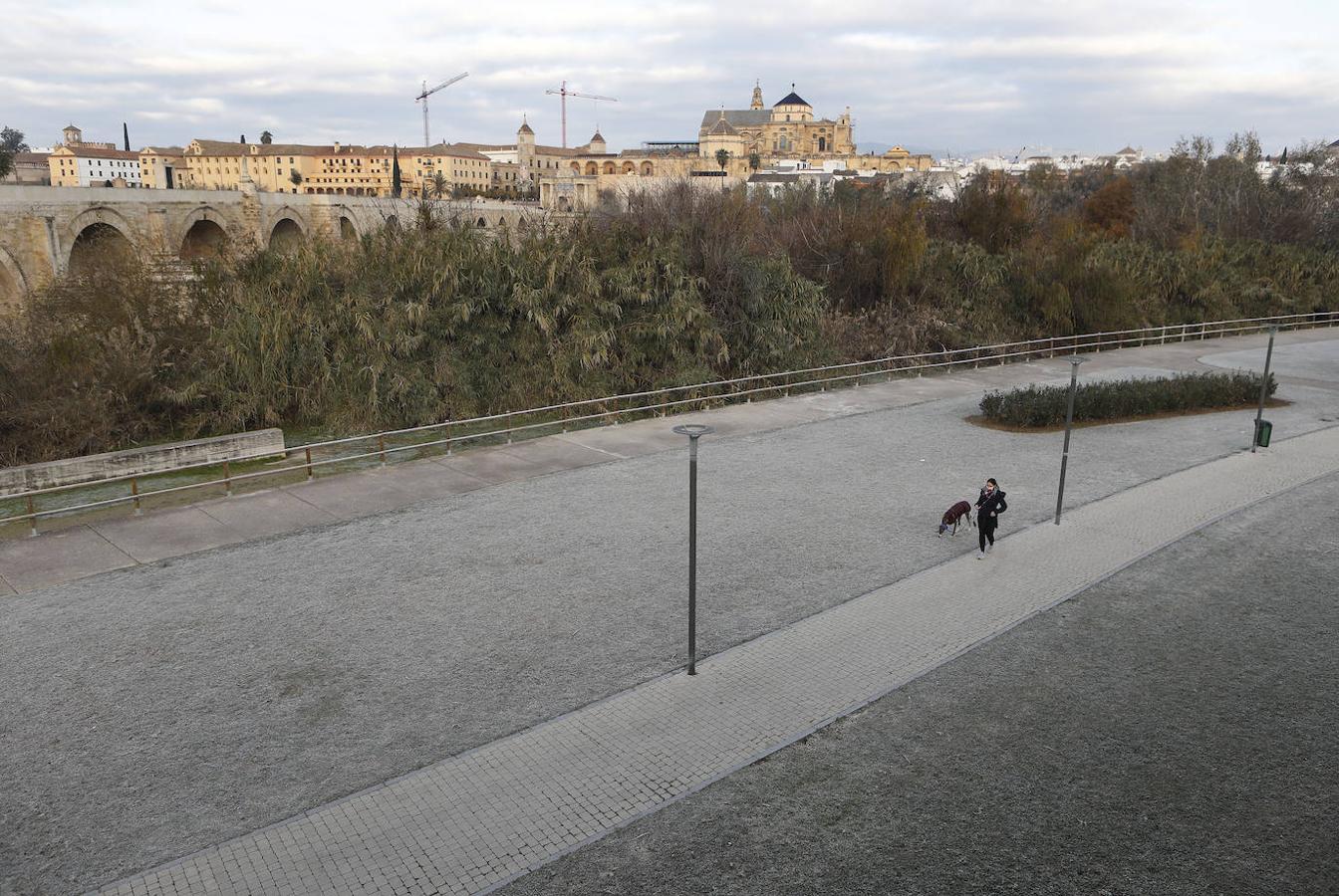 La mañana de frío en Córdoba, en imágenes