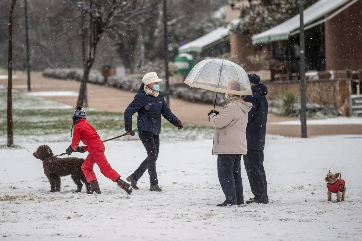 La nieve ha llegado a Madrid capital poco antes de las doce del mediodía. 