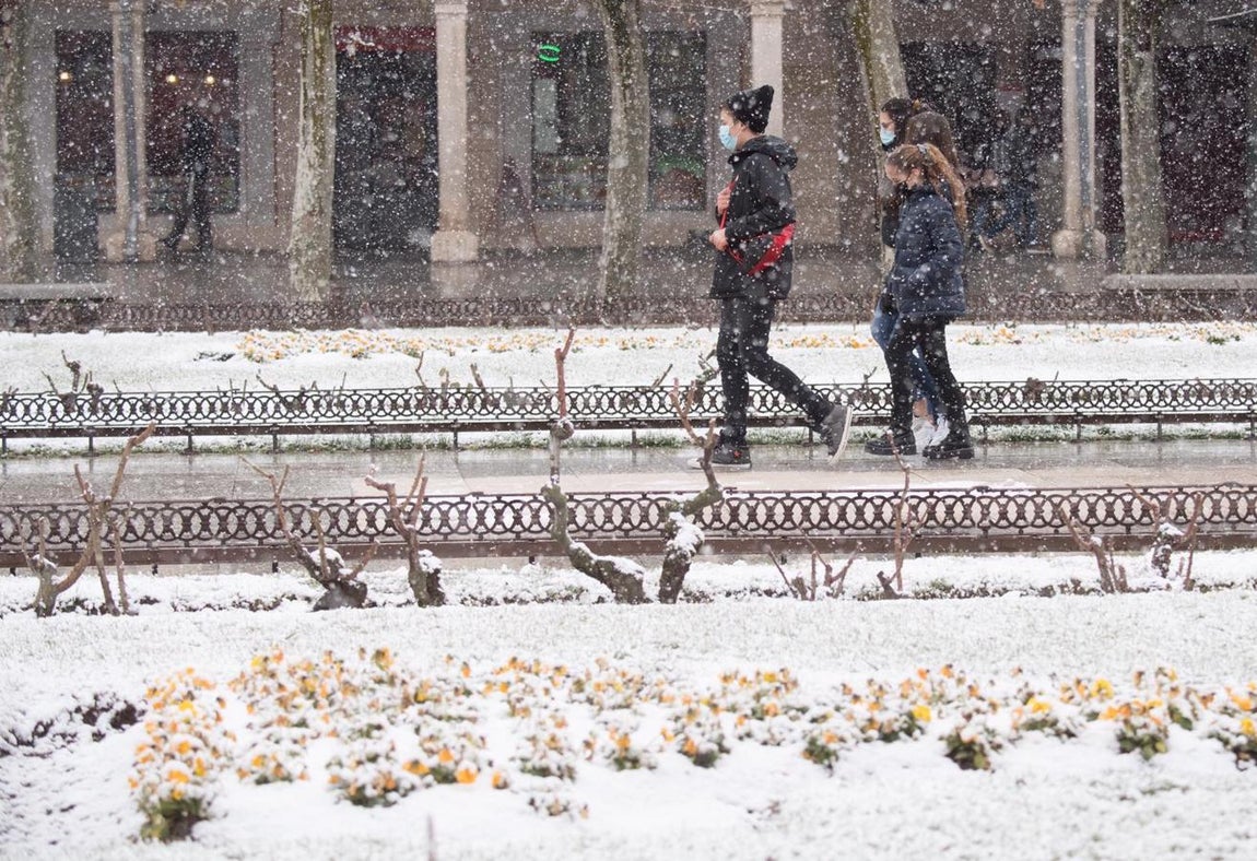 La nevada comenzó en el sur de la región, pero pasado el mediodía aterrizó en los municipios del norte, como Alcalá de Henares. 