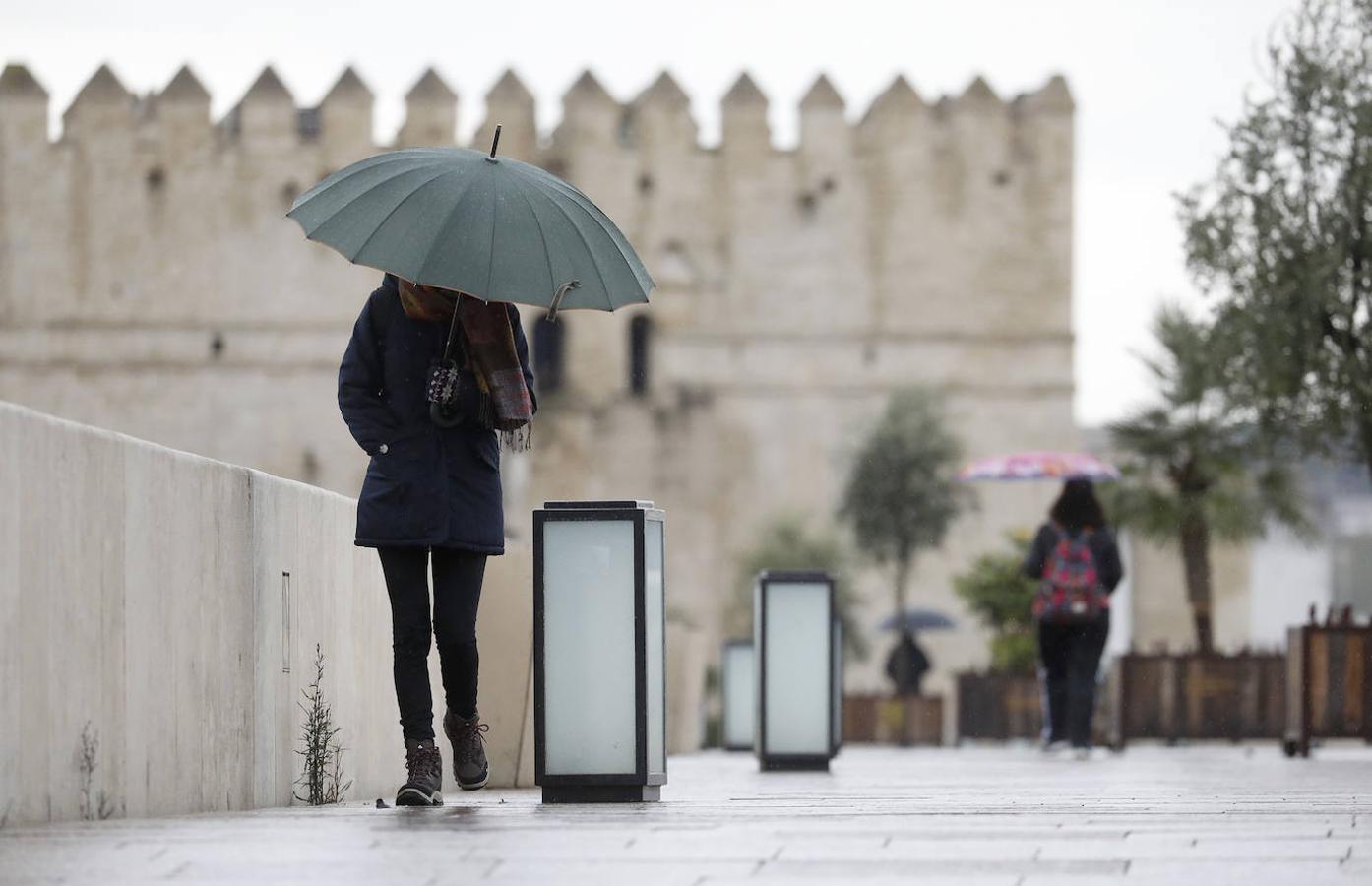 Borrasca Filomena | Mañanas de frío y lluvia invernal en Córdoba